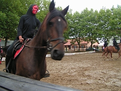 PO 2008 (40)